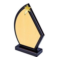 Wooden Trophy